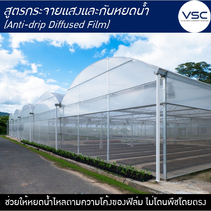 Banner Promotion VSC