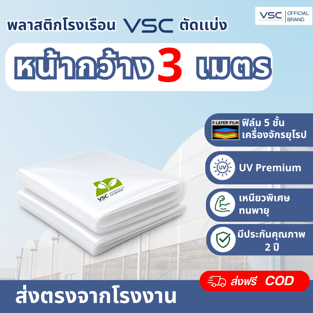 Banner Promotion VSC
